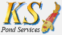 pps