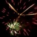 Holland Park Bonfire & Fireworks Brownhills