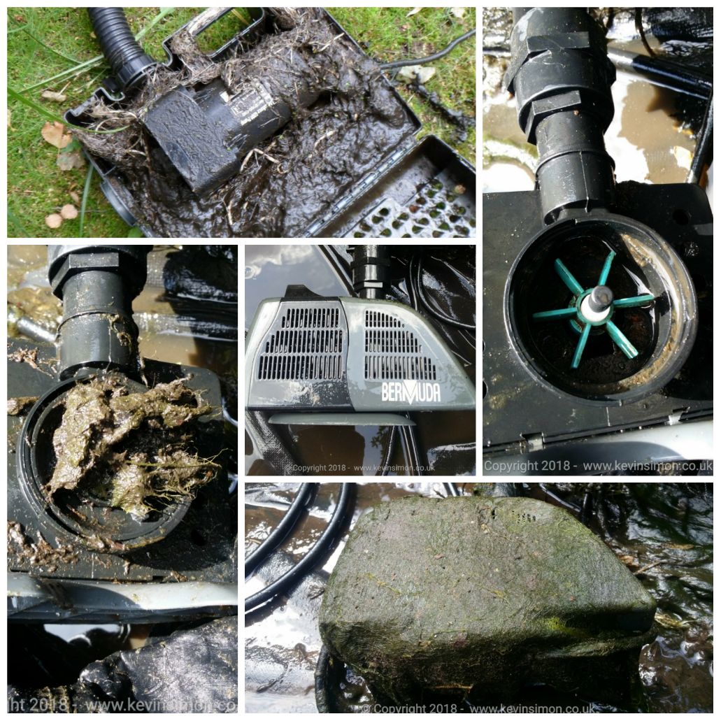 Clean of dirty fish pond pump and cage