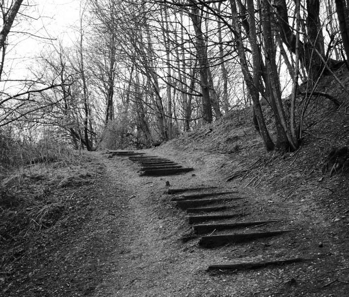 Only Doing Black & White Photography